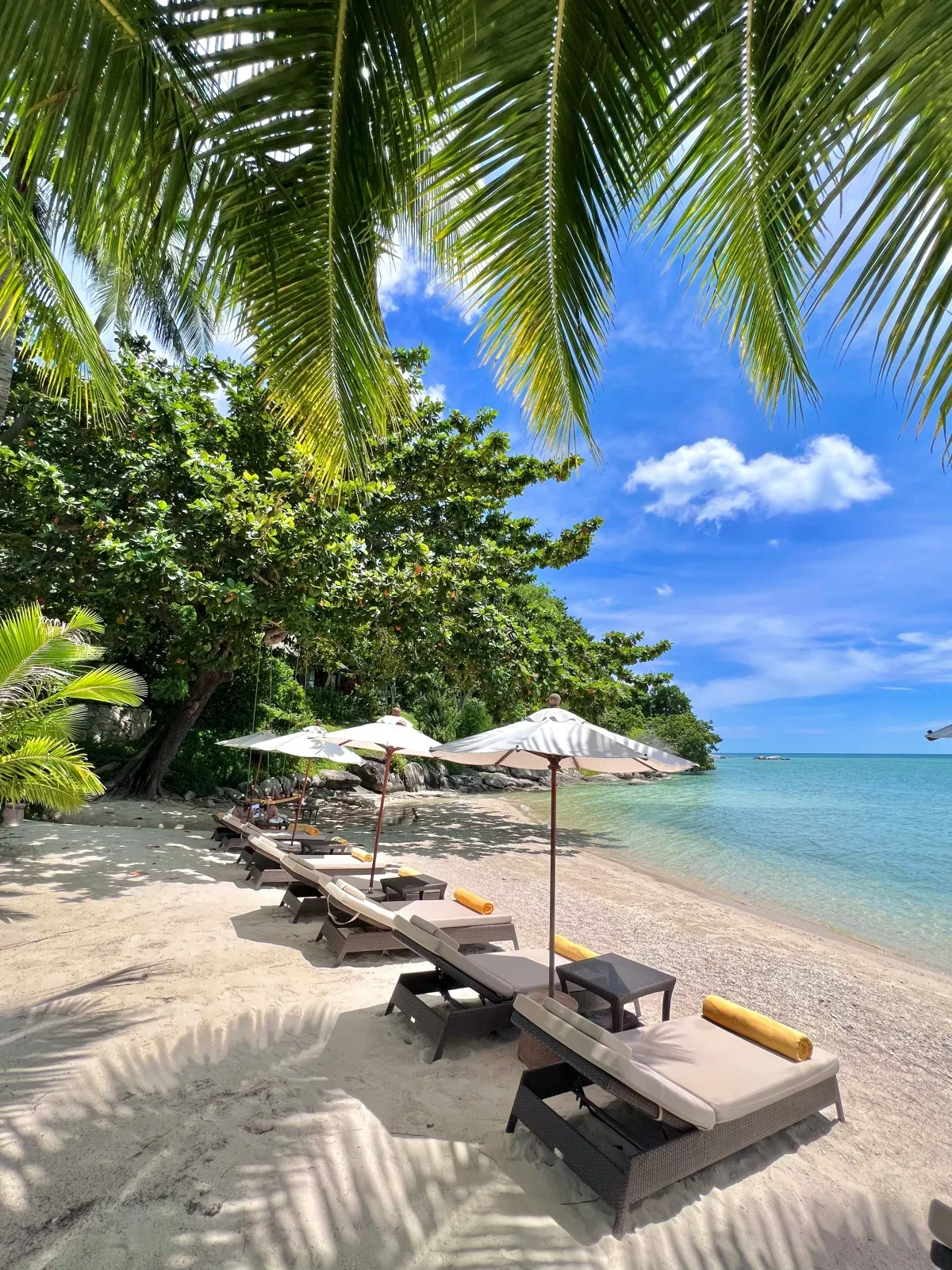 Luxurious beach resort on Koh Samui with elegant sun loungers on pristine white sand under cream-colored umbrellas, palm fronds overhead, and turquoise waters