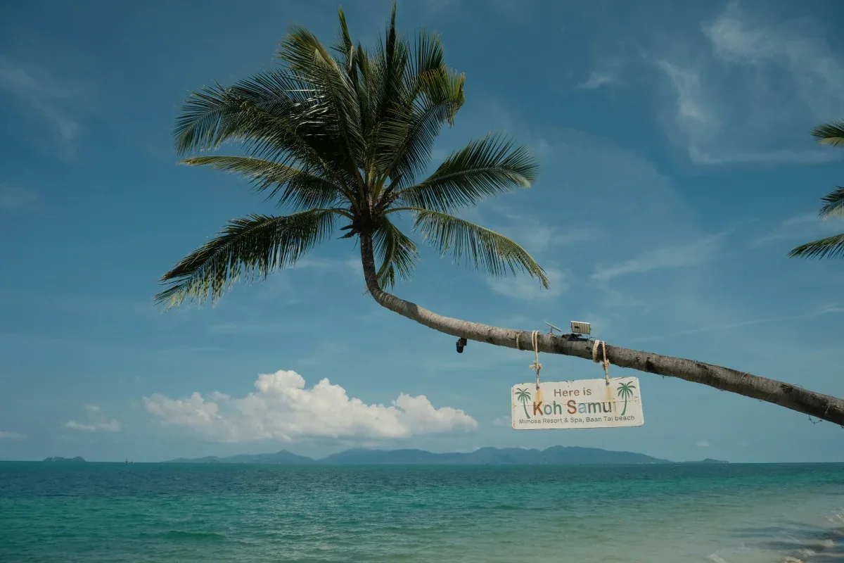 Iconic leaning palm tree over crystal-clear turquoise waters with wooden Koh Samui sign, white sand beach, and tropical islands on horizon